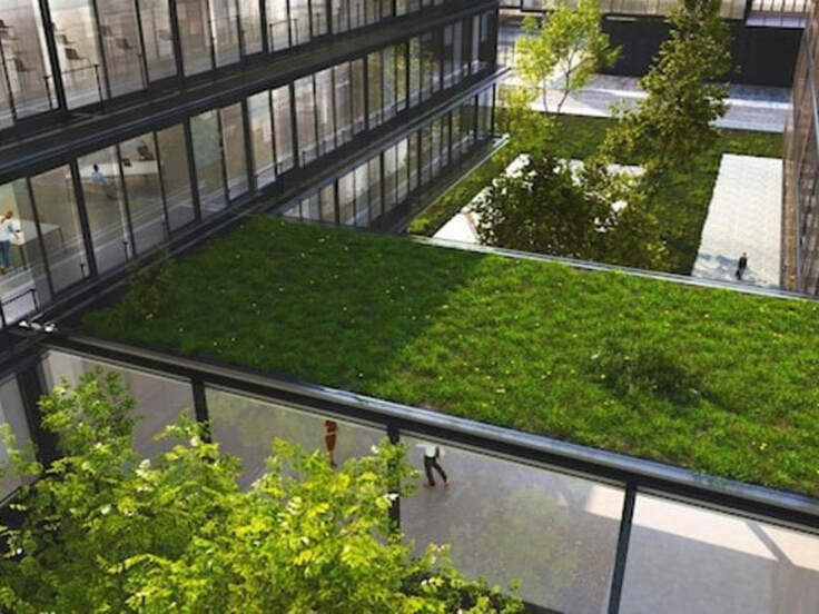 Eco Friendly Homes: Green Roofs & Sustainable Design