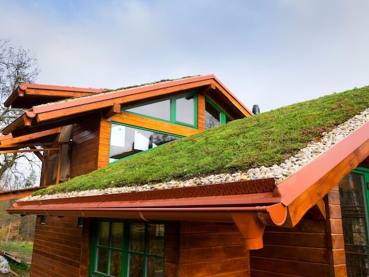 Eco-Friendly Residential Green Roofs