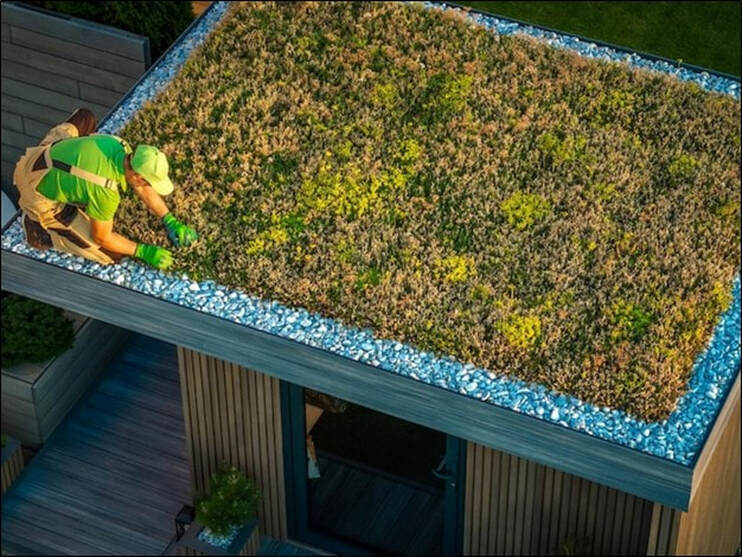 Eco Homes: Maximizing Sustainability With Green Roof Solutions