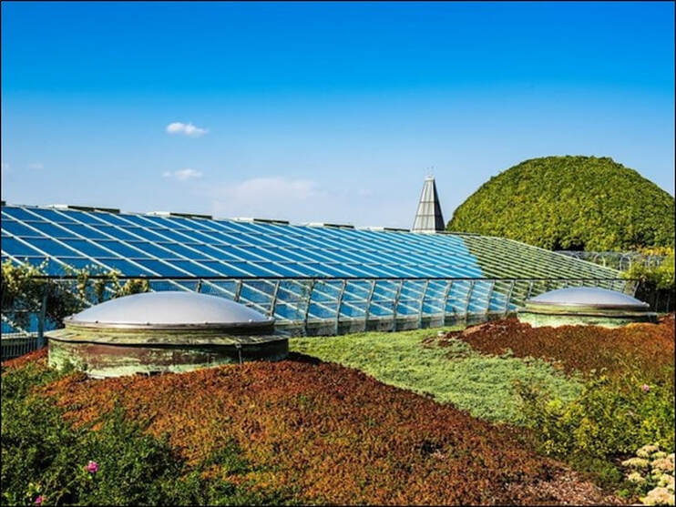 green roofs Energy Efficiency